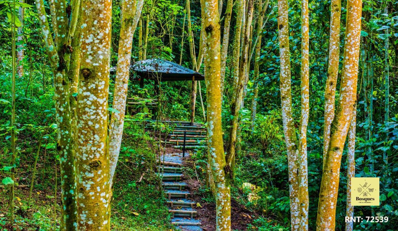 Отель Bosques De La Pradera Манисалес Экстерьер фото