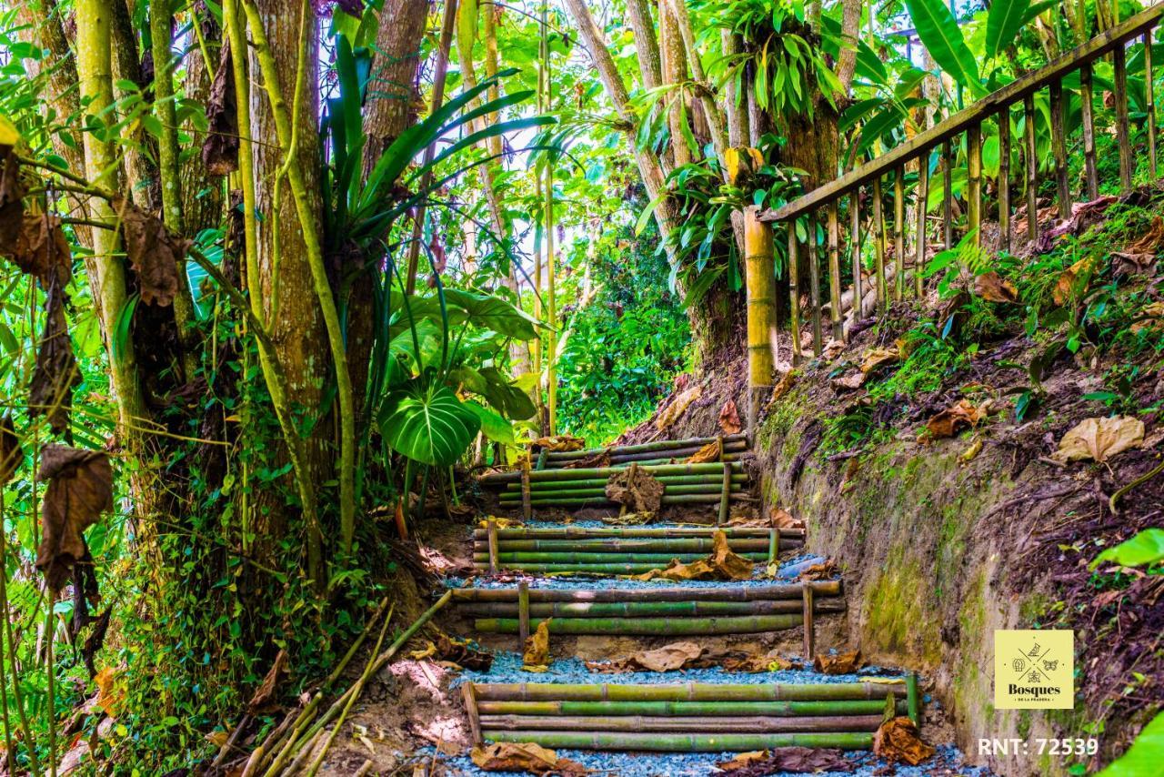 Отель Bosques De La Pradera Манисалес Экстерьер фото